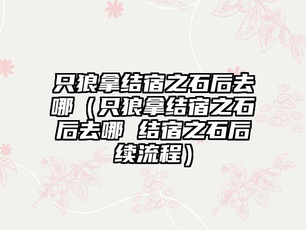 只狼拿结宿之石后去哪（只狼拿结宿之石后去哪 结宿之石后续流程）