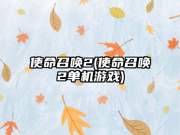 使命召唤2(使命召唤2单机游戏)