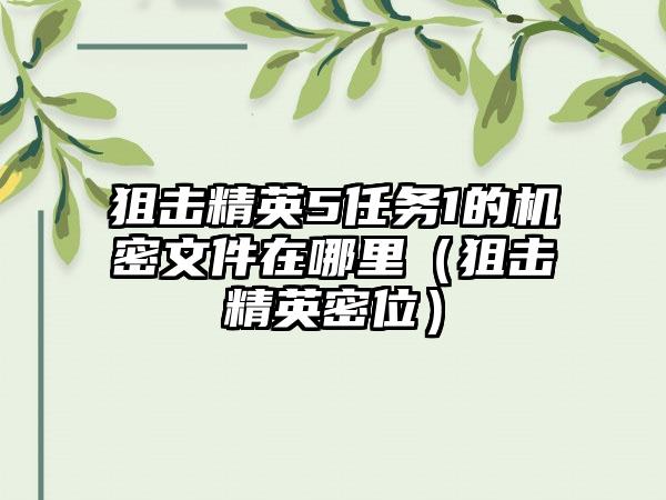 狙击精英5任务1的机密文件在哪里（狙击精英密位）
