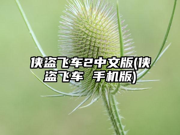 侠盗飞车2中文版(侠盗飞车 手机版)