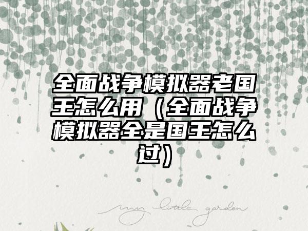 全面战争模拟器老国王怎么用（全面战争模拟器全是国王怎么过）