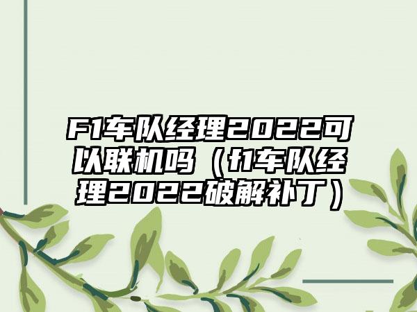 F1车队经理2022可以联机吗（f1车队经理2022破解补丁）