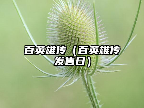 百英雄传（百英雄传发售日）