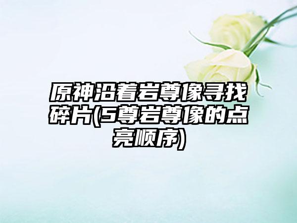 原神沿着岩尊像寻找碎片(5尊岩尊像的点亮顺序)