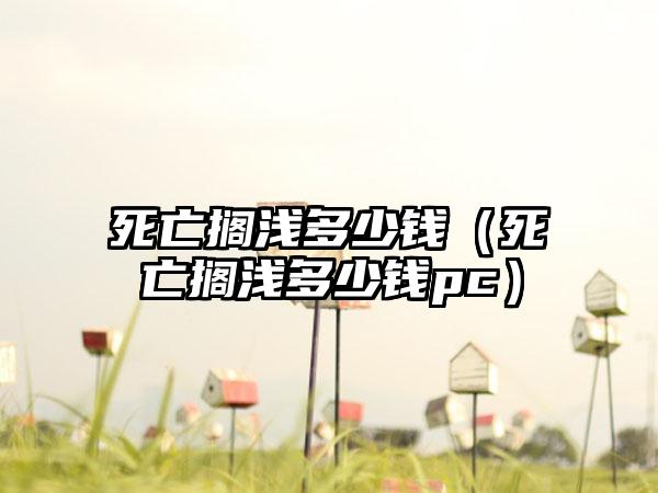 死亡搁浅多少钱（死亡搁浅多少钱pc）