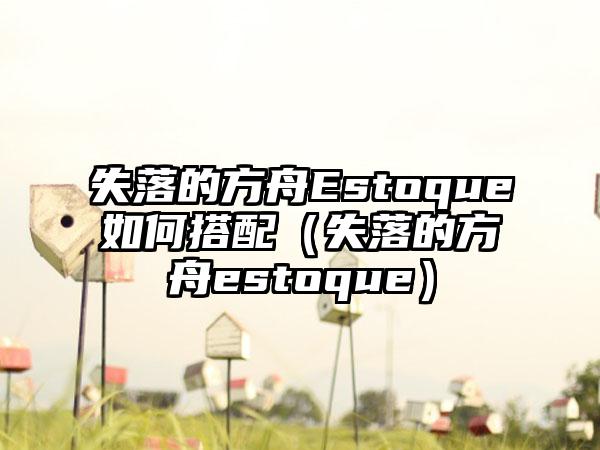 失落的方舟Estoque如何搭配（失落的方舟estoque）