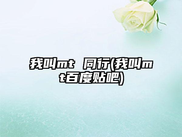 我叫mt 同行(我叫mt百度贴吧)