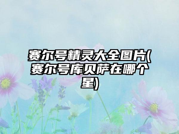 赛尔号精灵大全图片(赛尔号库贝萨在哪个星)