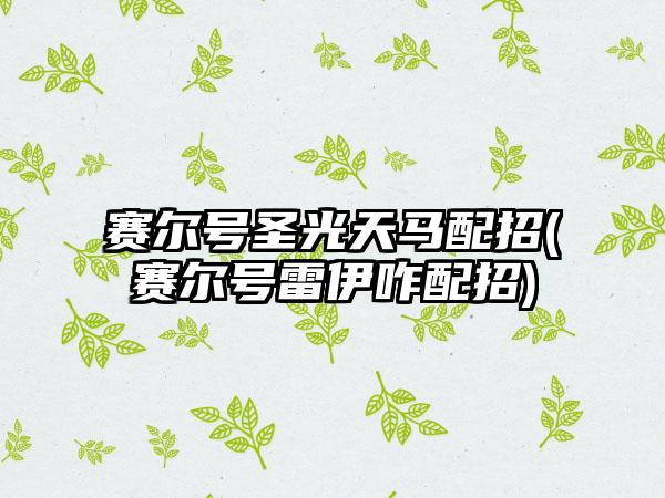 赛尔号圣光天马配招(赛尔号雷伊咋配招)