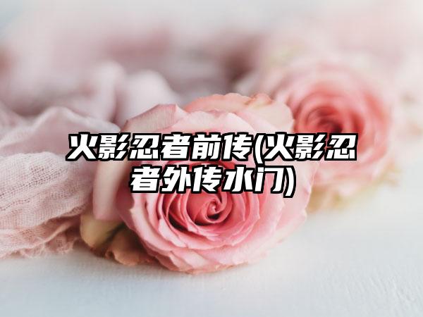 火影忍者前传(火影忍者外传水门)