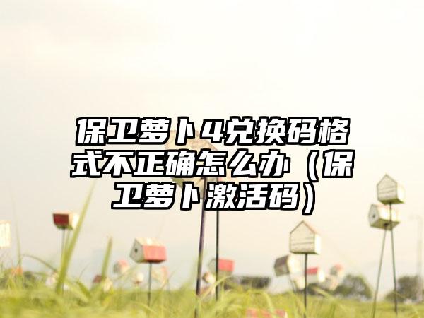 保卫萝卜4兑换码格式不正确怎么办（保卫萝卜激活码）