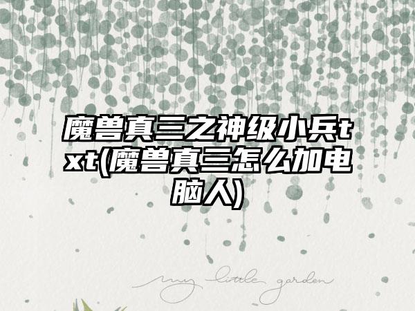 魔兽真三之神级小兵txt(魔兽真三怎么加电脑人)