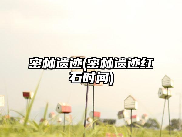 密林遗迹(密林遗迹红石时间)