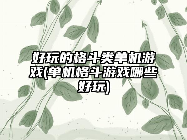 好玩的格斗类单机游戏(单机格斗游戏哪些好玩)