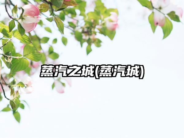 蒸汽之城(蒸汽城)