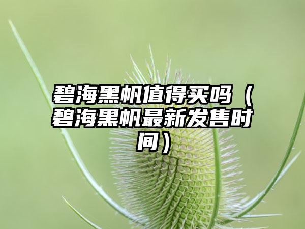 碧海黑帆值得买吗（碧海黑帆最新发售时间）