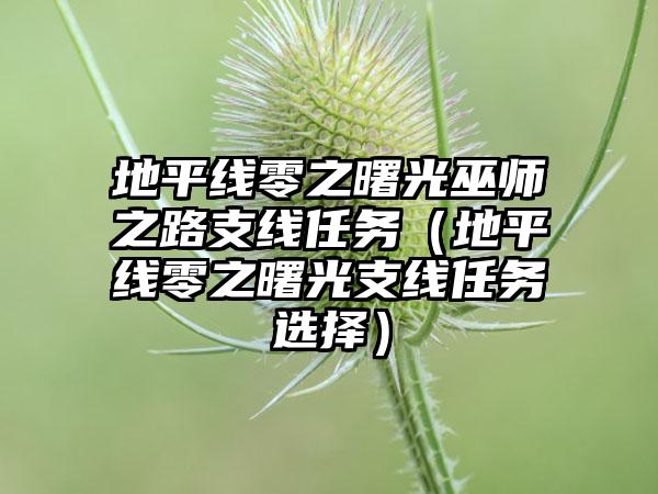 地平线零之曙光巫师之路支线任务（地平线零之曙光支线任务选择）