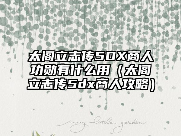 太阁立志传5DX商人功勋有什么用（太阁立志传5dx商人攻略）