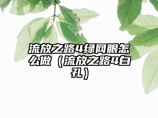 流放之路4绿网眼怎么做（流放之路4白孔）