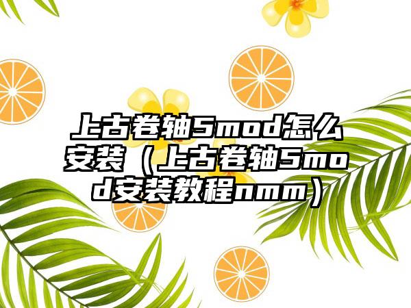 上古卷轴5mod怎么安装（上古卷轴5mod安装教程nmm）