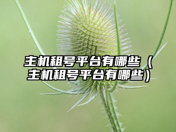 主机租号平台有哪些（主机租号平台有哪些）
