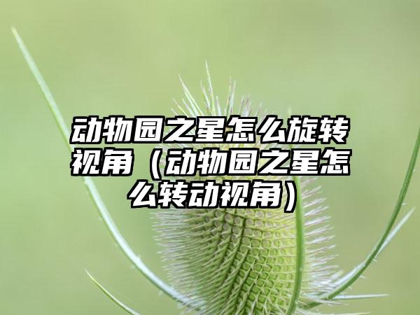 动物园之星怎么旋转视角（动物园之星怎么转动视角）