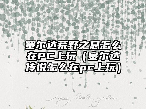 塞尔达荒野之息怎么在PC上玩（塞尔达传说怎么在pc上玩）