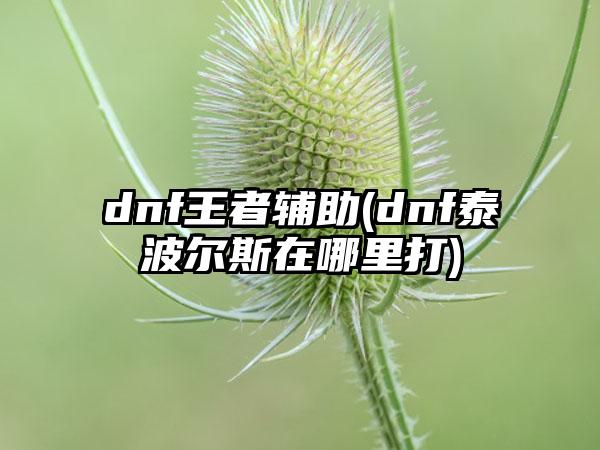 dnf王者辅助(dnf泰波尔斯在哪里打)
