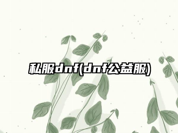 私服dnf(dnf公益服)