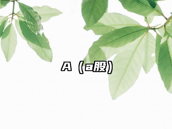 A（a股）