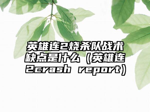 英雄连2烧杀队战术缺点是什么（英雄连2crash report）