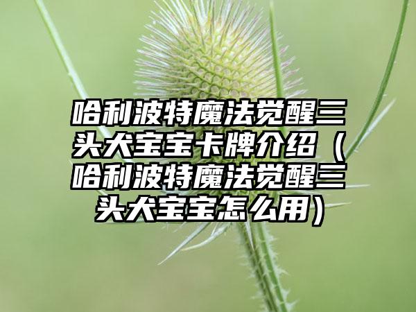 哈利波特魔法觉醒三头犬宝宝卡牌介绍（哈利波特魔法觉醒三头犬宝宝怎么用）