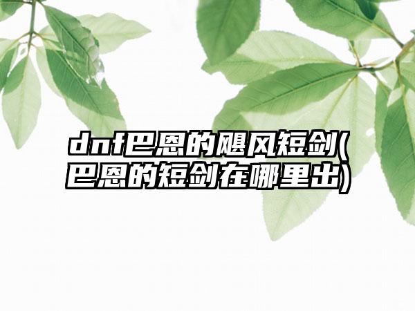 dnf巴恩的飓风短剑(巴恩的短剑在哪里出)