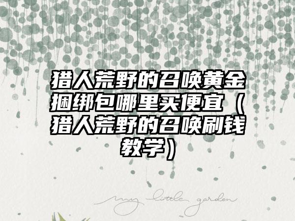 猎人荒野的召唤黄金捆绑包哪里买便宜（猎人荒野的召唤刷钱教学）