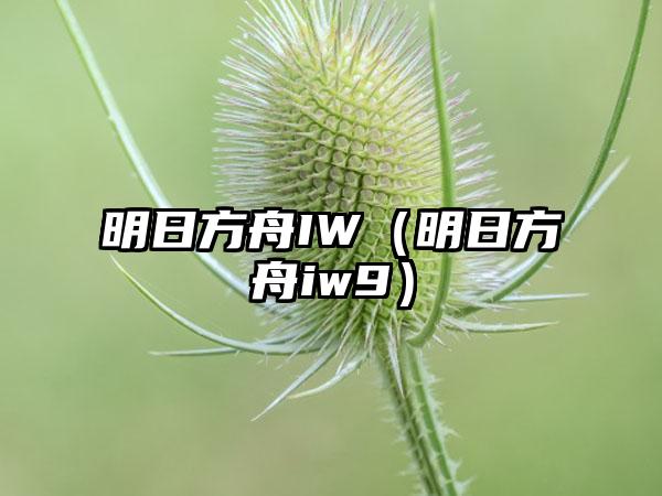 明日方舟IW（明日方舟iw9）