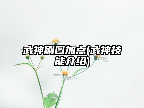 武神刷图加点(武神技能介绍)