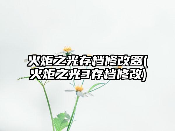 火炬之光存档修改器(火炬之光3存档修改)
