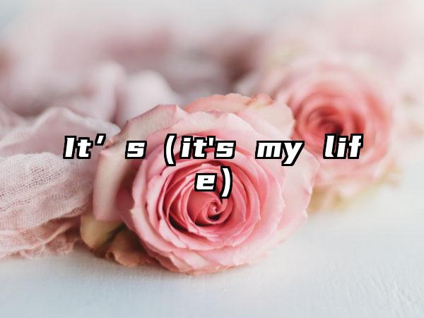 It’s（it's my life）