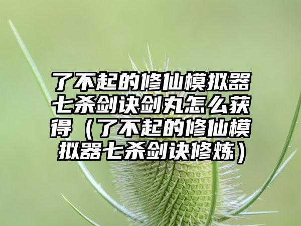 了不起的修仙模拟器七杀剑诀剑丸怎么获得（了不起的修仙模拟器七杀剑诀修炼）