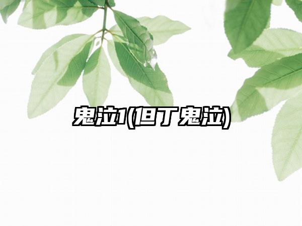 鬼泣1(但丁鬼泣)