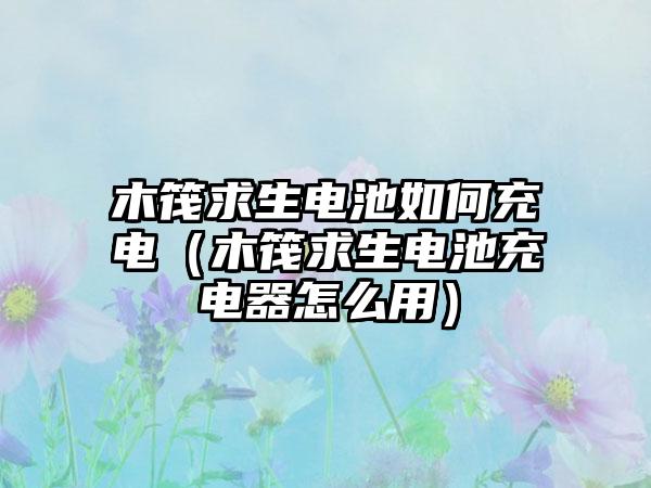 木筏求生电池如何充电（木筏求生电池充电器怎么用）