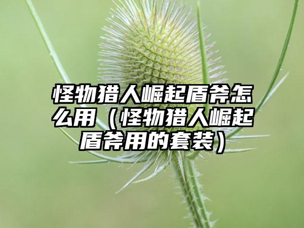 怪物猎人崛起盾斧怎么用（怪物猎人崛起盾斧用的套装）