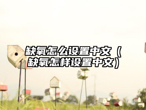 缺氧怎么设置中文（缺氧怎样设置中文）