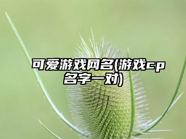 可爱游戏网名(游戏cp名字一对)