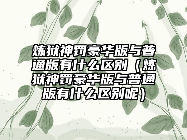 炼狱神罚豪华版与普通版有什么区别（炼狱神罚豪华版与普通版有什么区别呢）