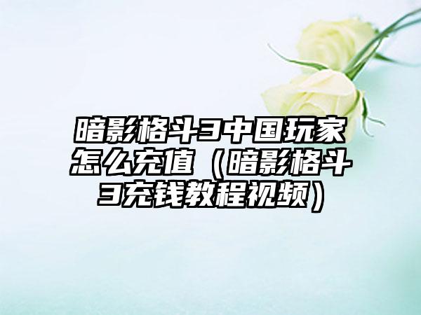 暗影格斗3中国玩家怎么充值（暗影格斗3充钱教程视频）