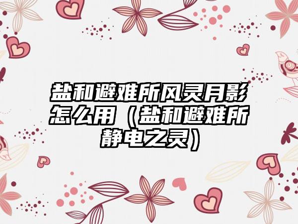 盐和避难所风灵月影怎么用（盐和避难所静电之灵）