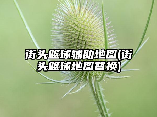 街头篮球辅助地图(街头篮球地图替换)
