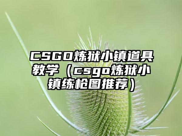 CSGO炼狱小镇道具教学（csgo炼狱小镇练枪图推荐）