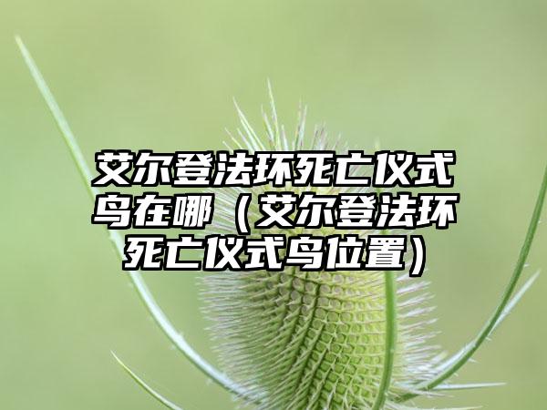 艾尔登法环死亡仪式鸟在哪（艾尔登法环死亡仪式鸟位置）